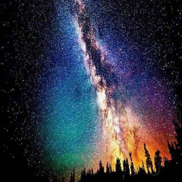 Meet your Posher, Jordan - Picture 1 of 1